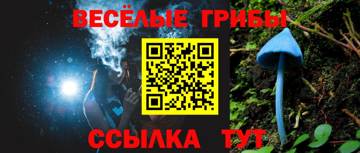Галлюциногенные грибы MAGIC MUSHROOMS Калач-на-Дону